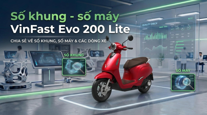 Số Khung Số Máy VinFast Evo 200 Lite: Vị Trí & Cách Tra Cứu