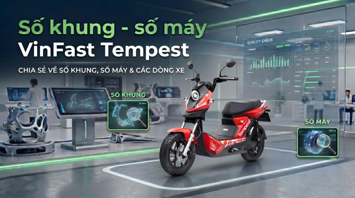Số Khung Số Máy VinFast Tempest: Vị Trí & Cách Tra Cứu